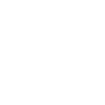 Vivo-Logo-White-TB.png